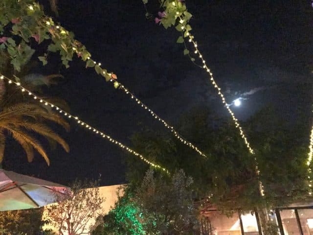 String Of Light Bulbs Between Trees In A Restaruant