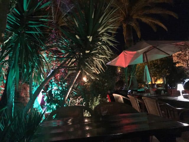 Tropical Restaurant With Palm Trees, Umbrellas & Different Colored Lights