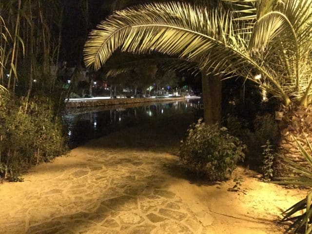River Walkway In Ibiza With A Palm Tree Leaf Hanging Down