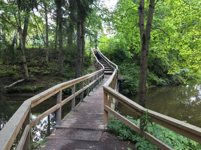 Wooden Bridge Over Forest Creek
