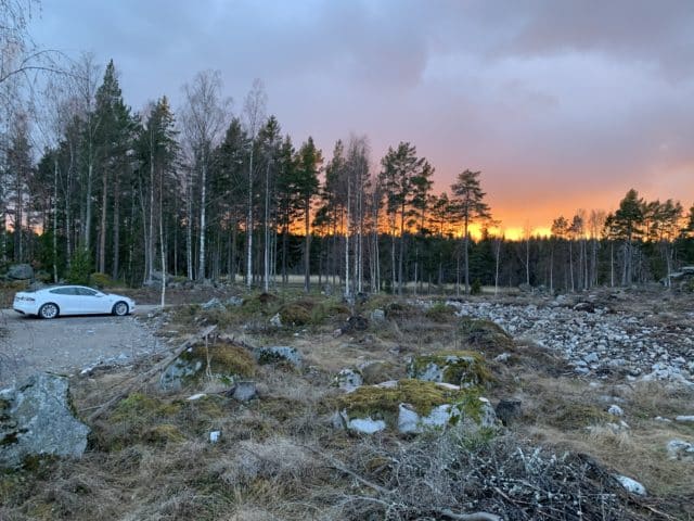 Forest Sunset In The Evening With A Tesla