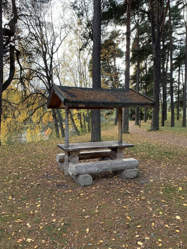 Wooden Forest Camping Bench In Fall