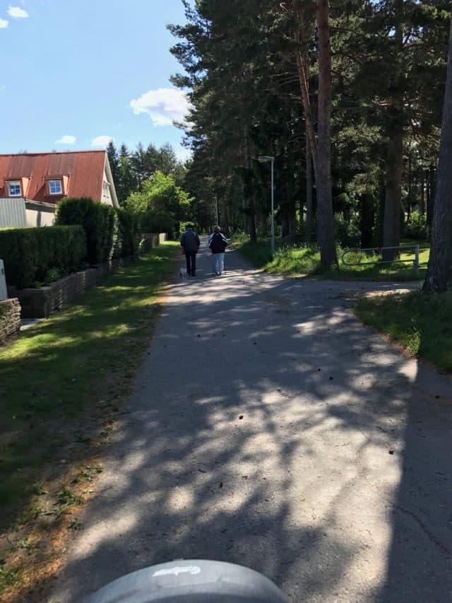 Old Couple Walking On A Asphalt Path With Trees And Houses