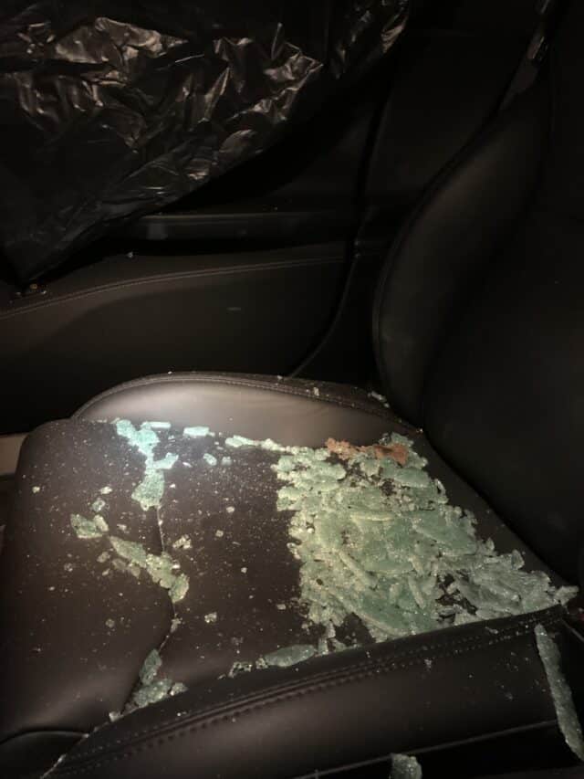 Broken Window Glass And Leaves On Tesla Seat