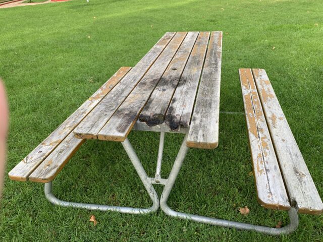 Burnt And Damaged Park Bench In Park