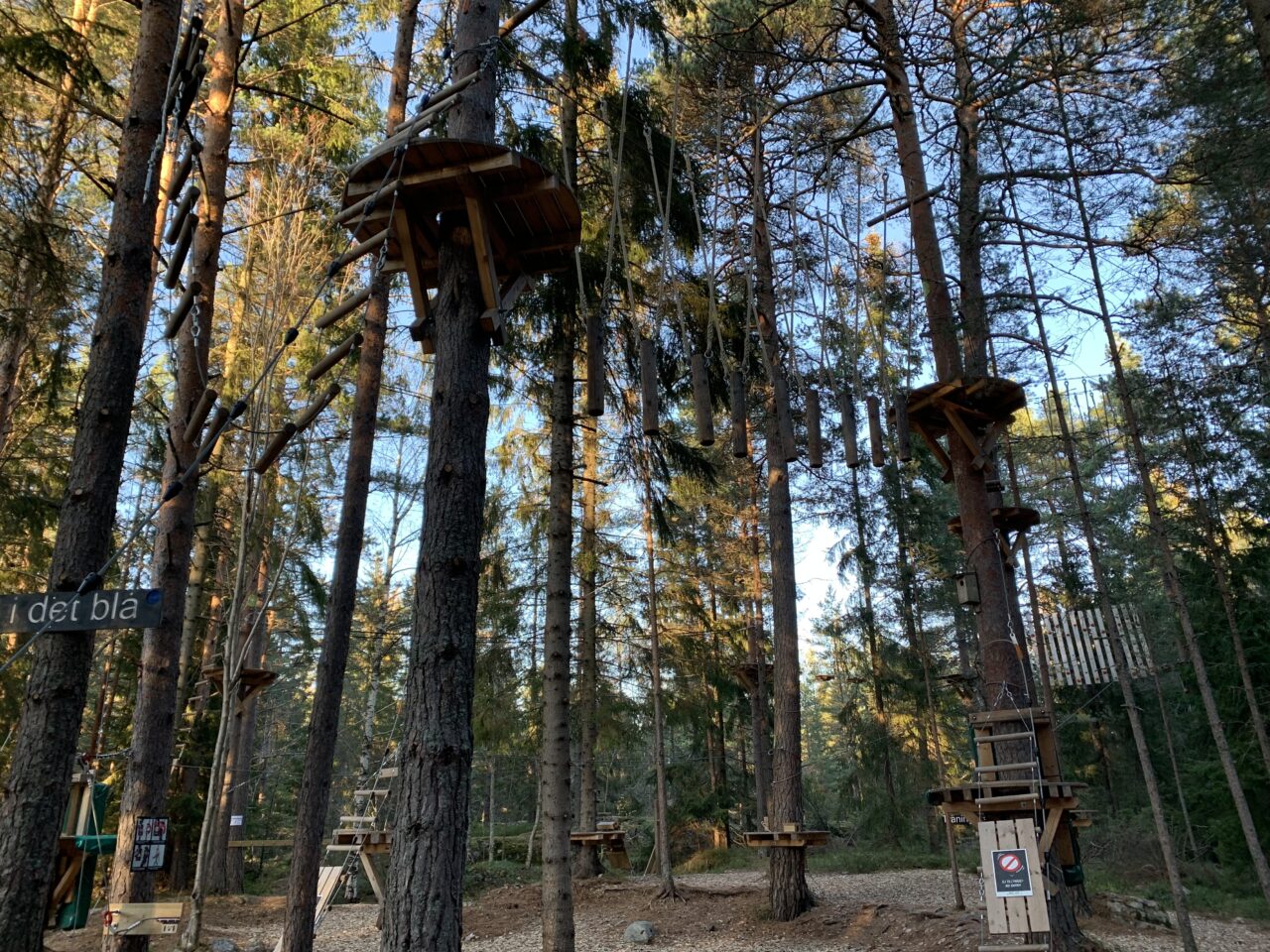 Forest Adventure Playground Park