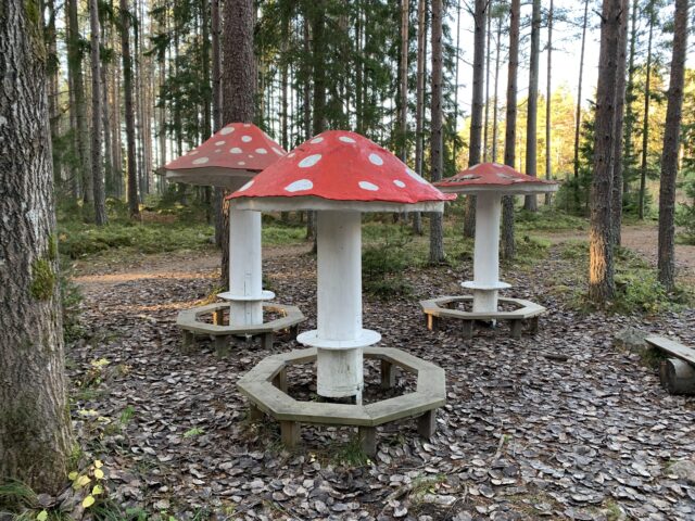 Giant Mushroom Tables With Benches In The Forest