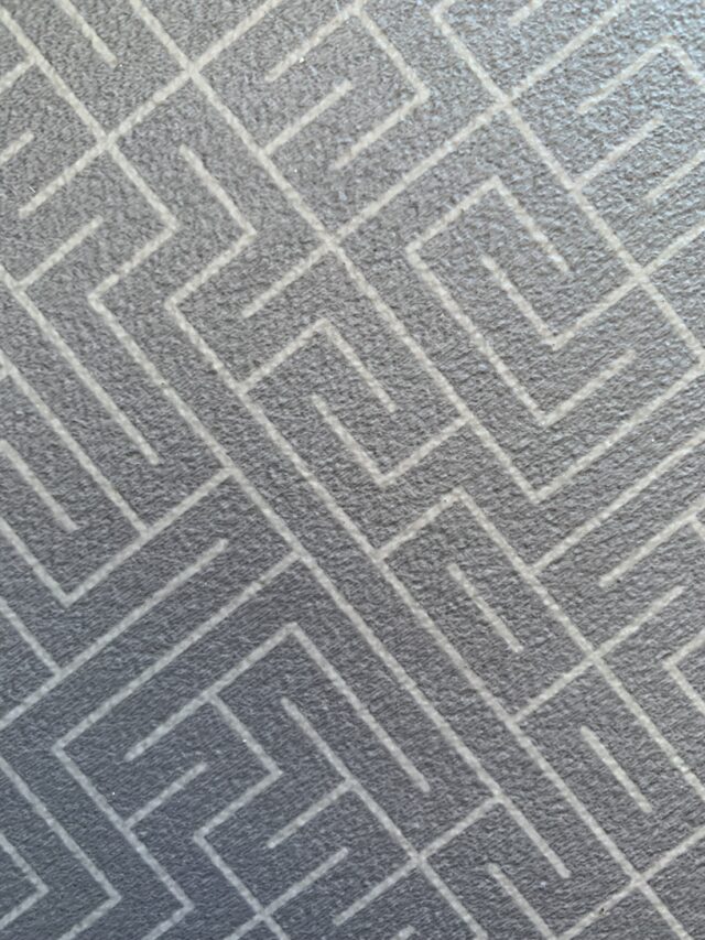 Gray Labyrinth Floor Lines texture Pattern