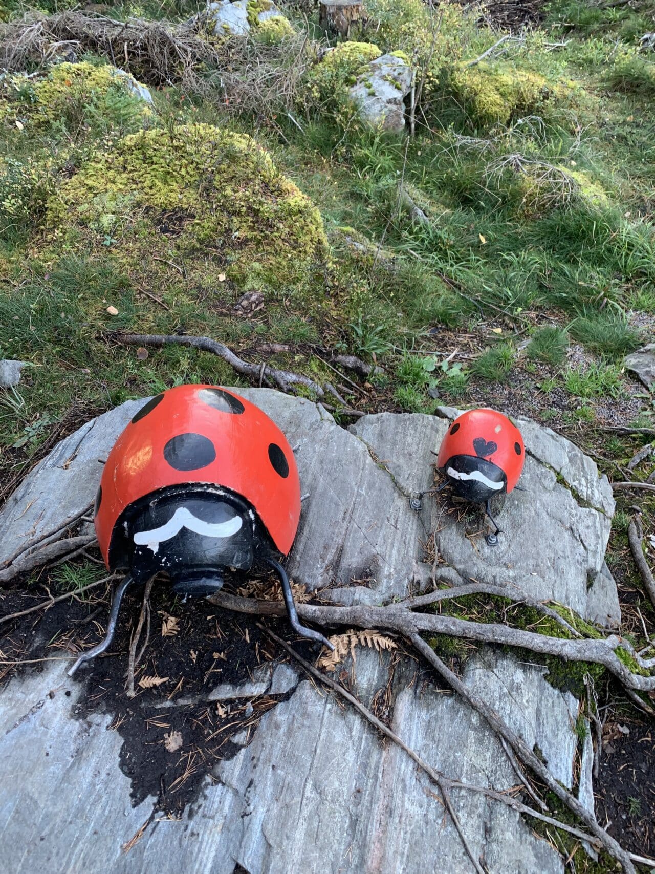 Huge Carved Wooden Ladybugs On Rock In Forest