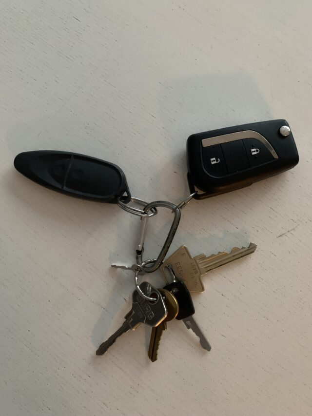 Keychain With Car Keys And Fob On Keyring