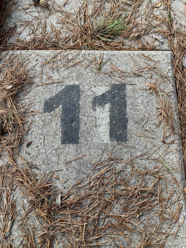 Number 11 Text On Concrete Slab With Pine Needles