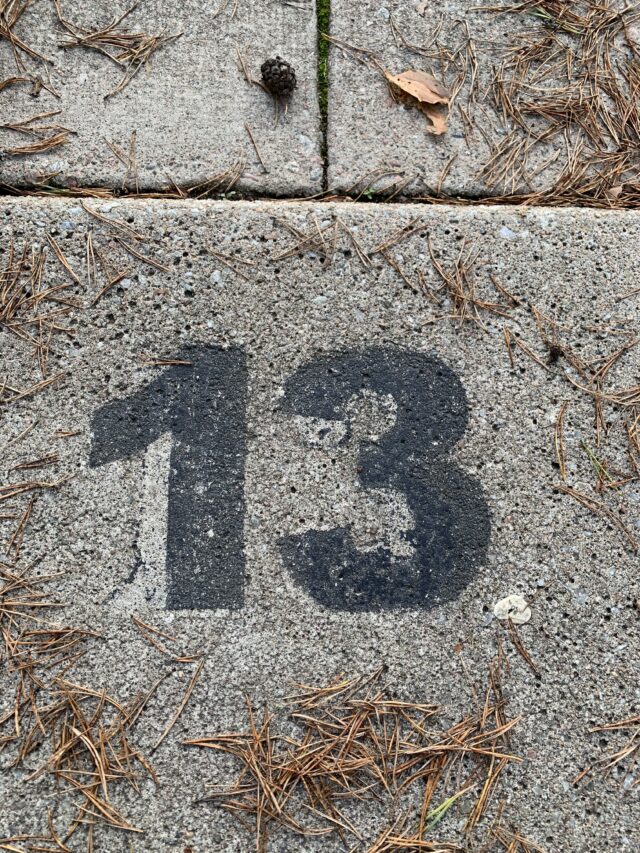 Number 13 Text On A Concrete Slab With Pine Needles
