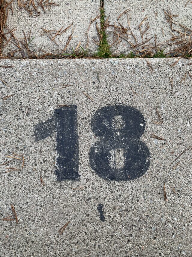 Number 18 Text On Concrete Slab With Pine Needles