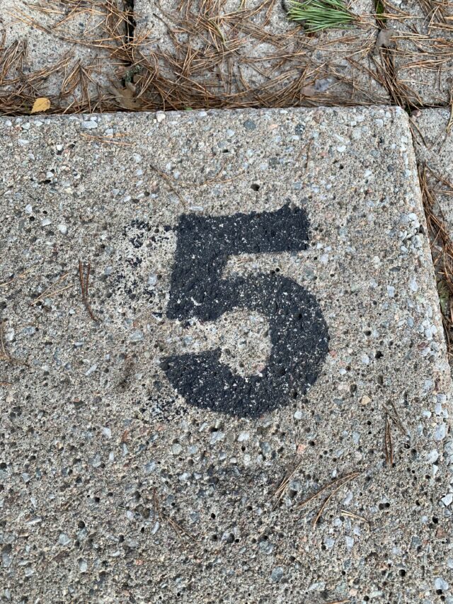Number 5 Text On Concrete Slab With Pine Needles