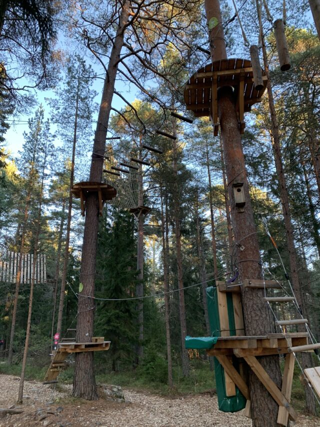 Tree Top Exercise Climbing Adventure Playground Forest